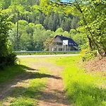 En Pleine Nature Avec Chevaux *