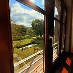 En Pleine Nature Avec Chevaux