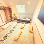 En Pleine Nature Avec Chevaux