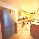 En Pleine Nature Avec Chevaux *