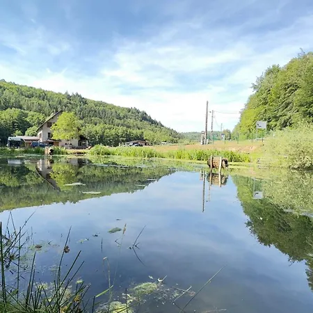 En Pleine Nature Avec Chevaux Soucht