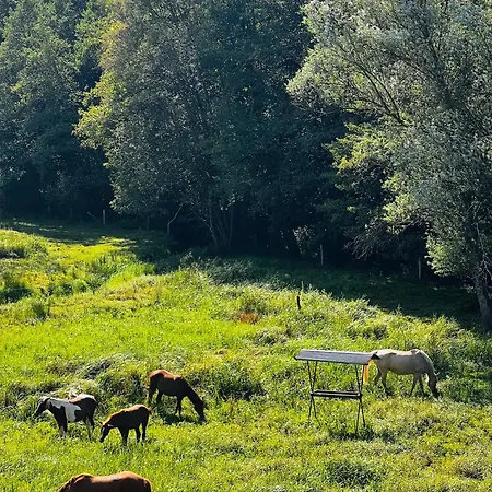 En Pleine Nature Avec Chevaux Vendégház Soucht