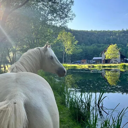 Guest house En Pleine Nature Avec Chevaux *