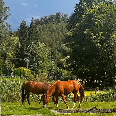 ゲストハウス En Pleine Nature Avec Chevaux Soucht