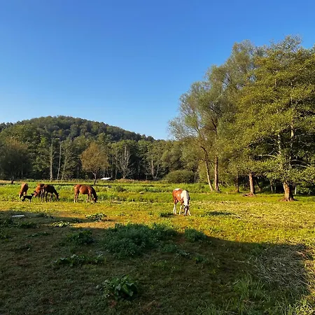 Guest house En Pleine Nature Avec Chevaux