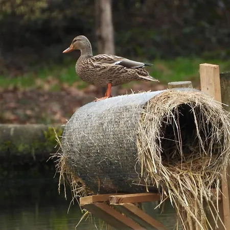 Vendégház En Pleine Nature Avec Chevaux