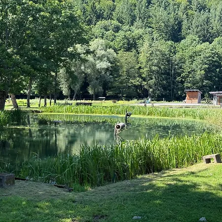 En Pleine Nature Avec Chevaux