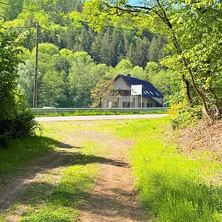 En Pleine Nature Avec Chevaux *