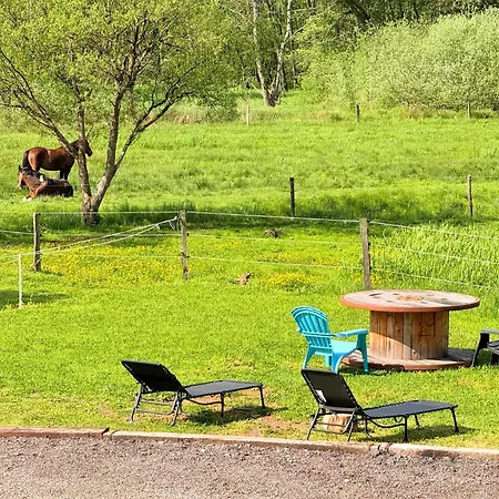 En Pleine Nature Avec Chevaux Maison d'hôtes Soucht