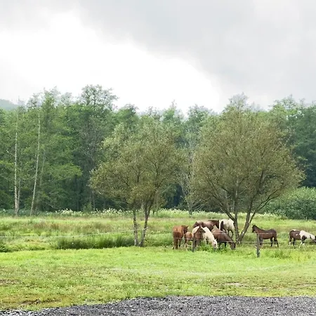בית הארחה En Pleine Nature Avec Chevaux Soucht