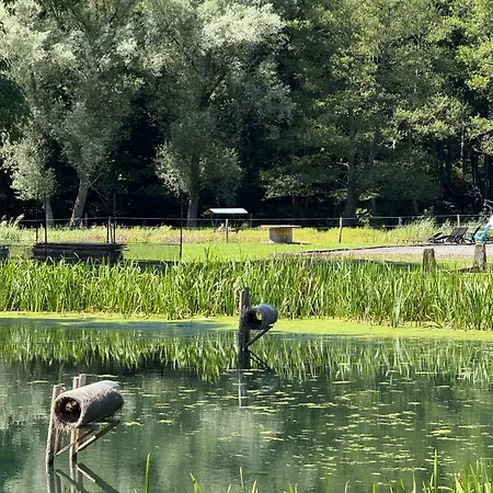 בית הארחה En Pleine Nature Avec Chevaux *