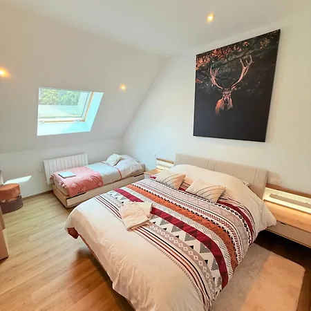 En Pleine Nature Avec Chevaux *