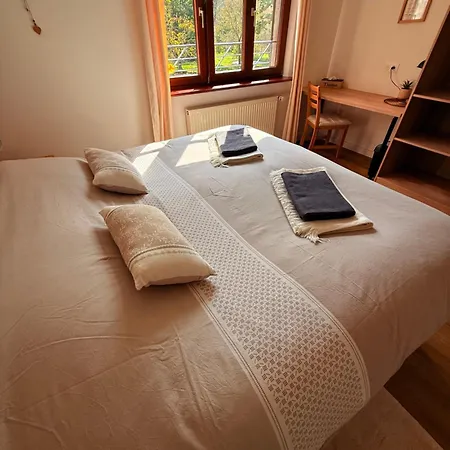 En Pleine Nature Avec Chevaux * Soucht