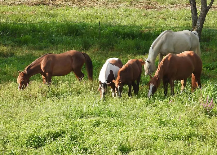 En Pleine Nature Avec Chevaux Casa de hóspedes