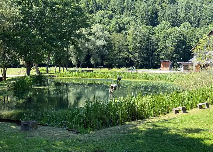 En Pleine Nature Avec Chevaux