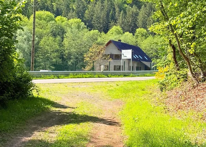 En Pleine Nature Avec Chevaux *
