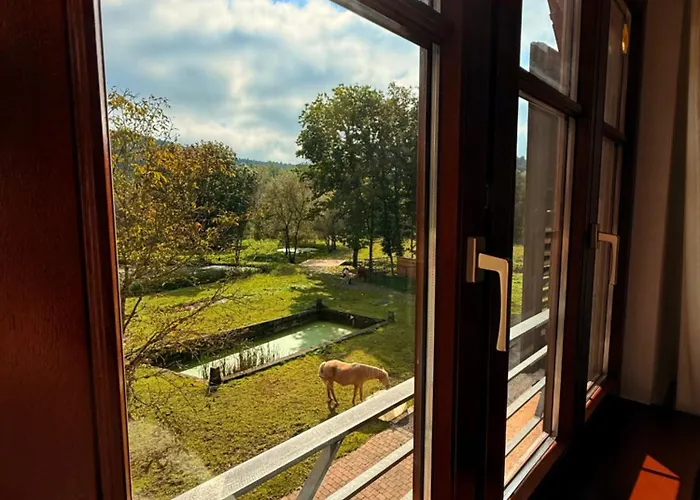 En Pleine Nature Avec Chevaux