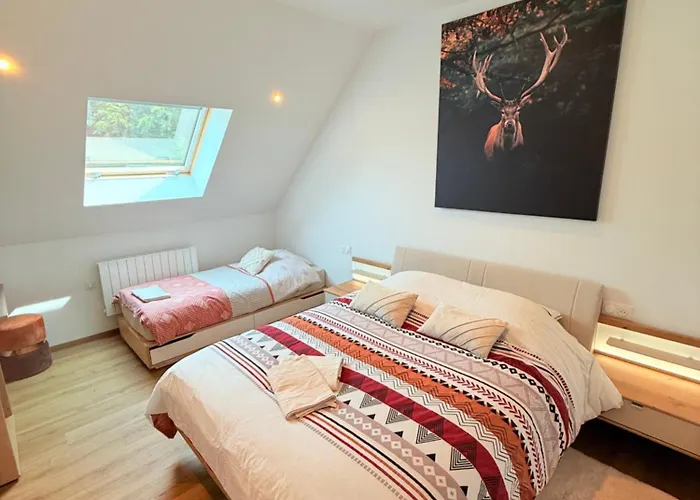 En Pleine Nature Avec Chevaux *