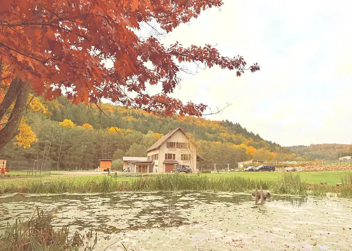 Casa de hóspedes En Pleine Nature Avec Chevaux