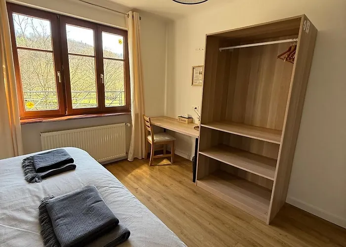 En Pleine Nature Avec Chevaux