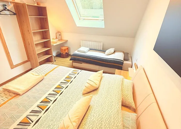 En Pleine Nature Avec Chevaux