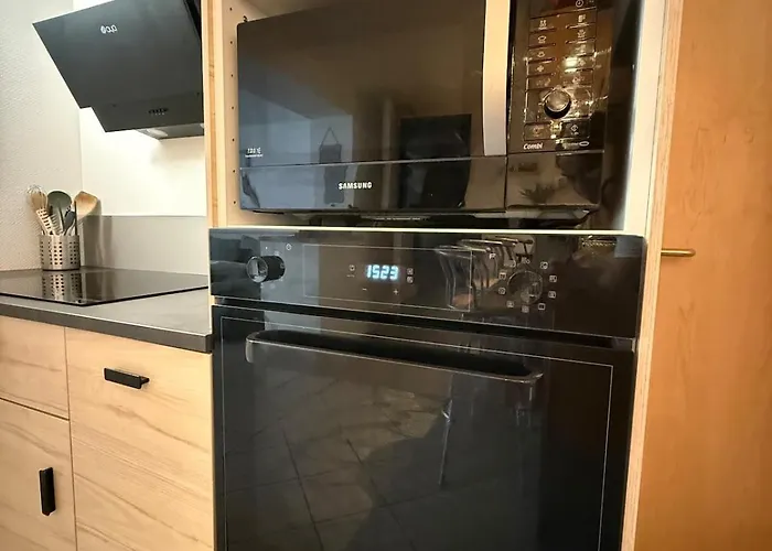 En Pleine Nature Avec Chevaux *