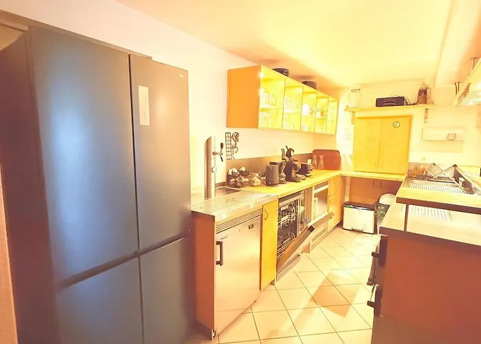 En Pleine Nature Avec Chevaux *