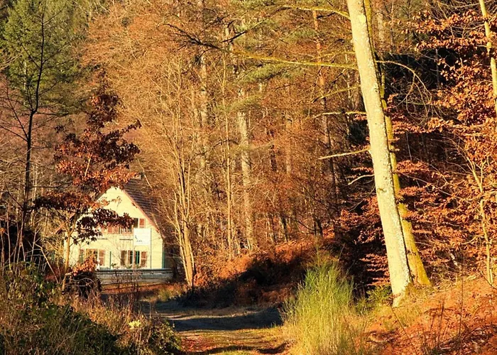 En Pleine Nature Avec Chevaux Casa de hóspedes *